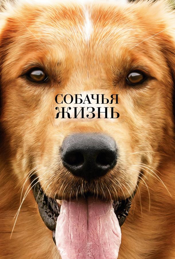 Фильм Собачья жизнь 2017 смотреть онлайн с Деннисом Куэйдом и Джульет Райлэнс